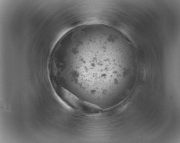 X0000061741476200512161636