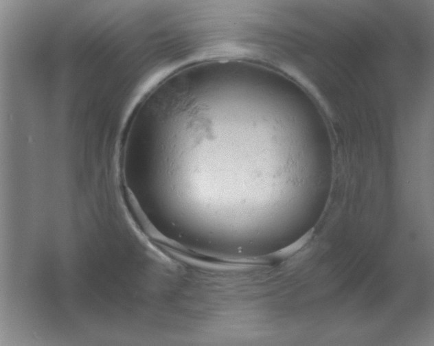 X0000061741477200512161636