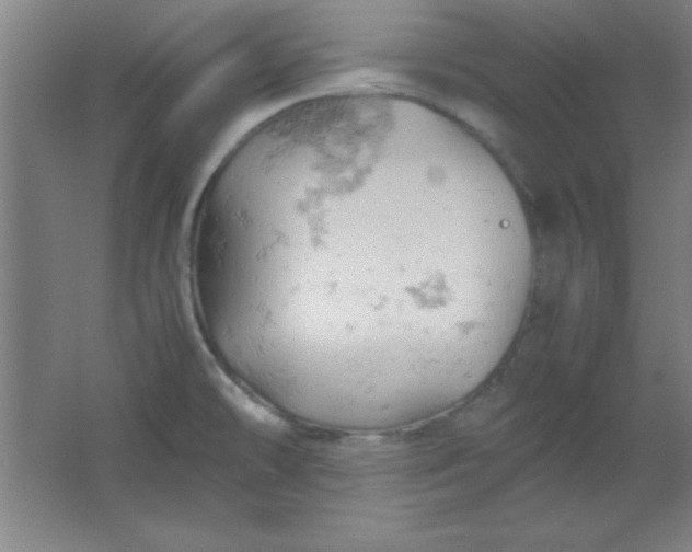 X0000061741478200512161636