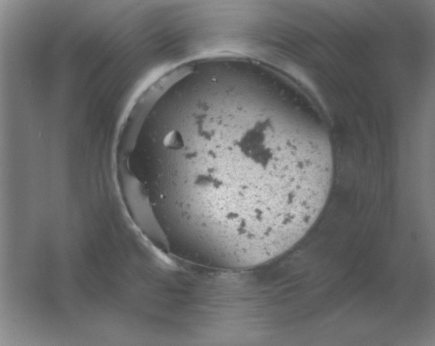 X0000061741480200512161636