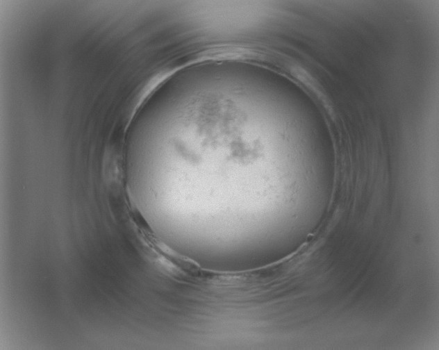 X0000061741481200512161636