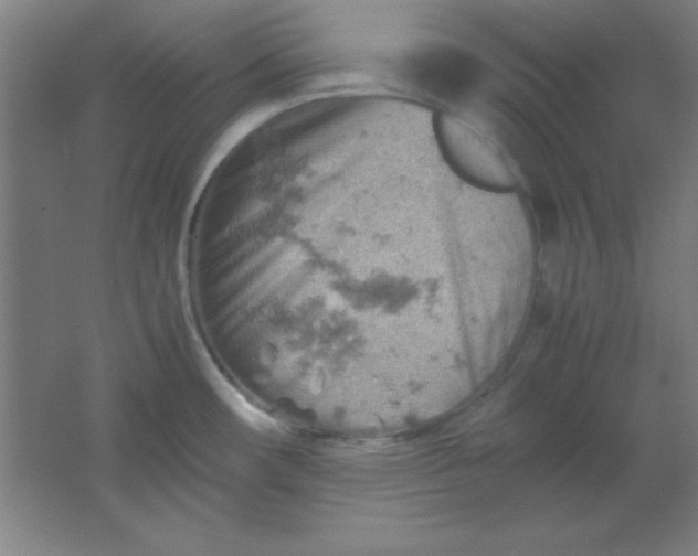 X0000061741482200512161636