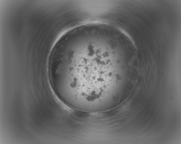 X0000061741483200512161636