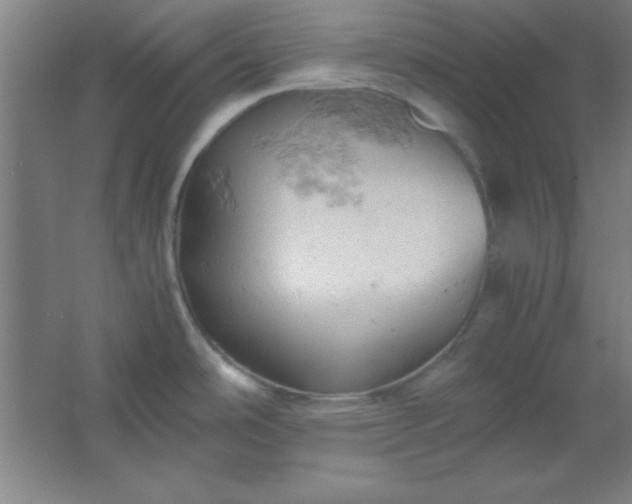 X0000061741486200512161636