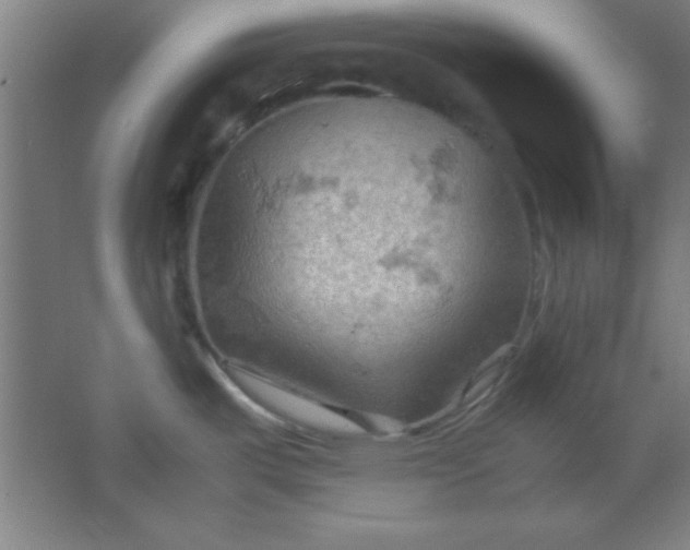 X0000061741487200512161636