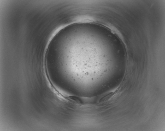 X0000061741488200512161636