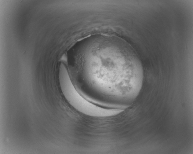 X0000061741489200512161635