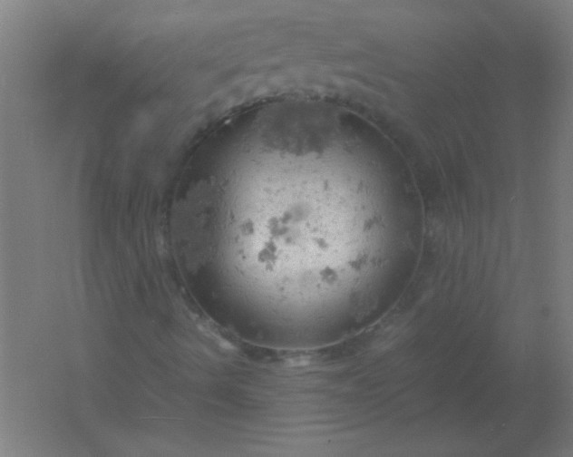 X0000061741490200512161635