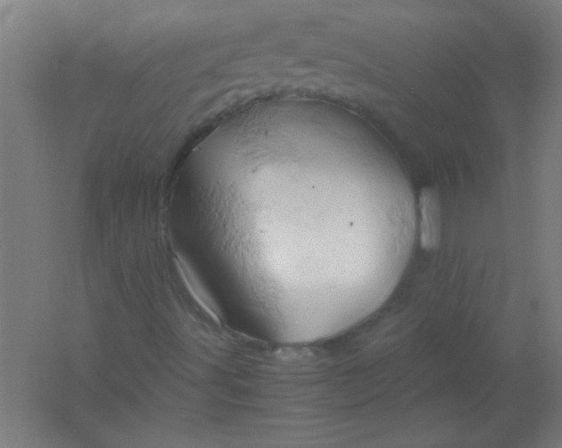 X0000061741491200512161635