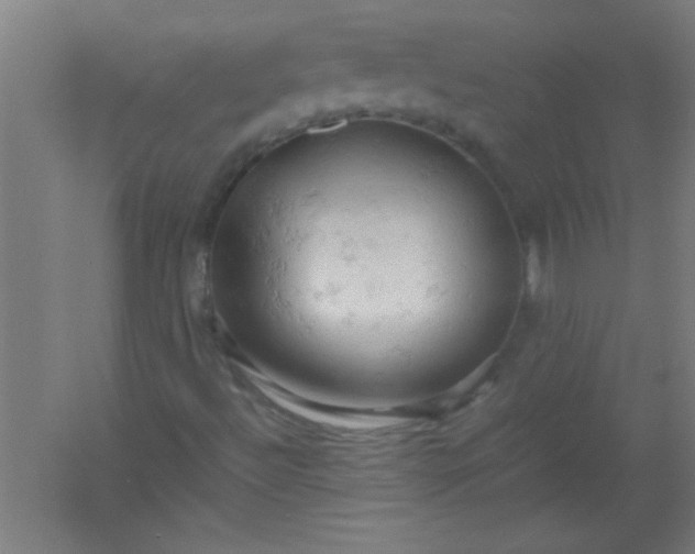 X0000061741492200512161635