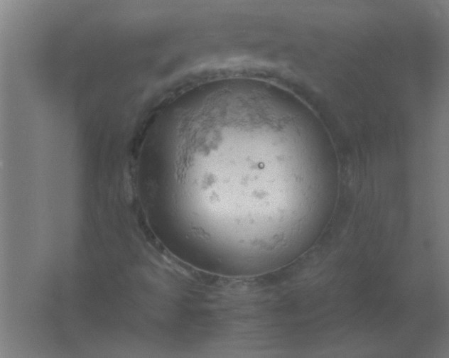 X0000061741493200512161635