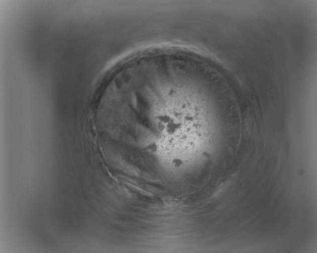 X0000061741494200512161635