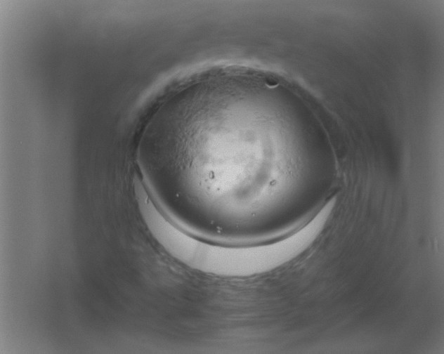 X0000061741495200512161635