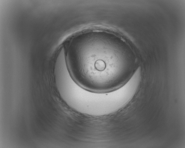 X0000061741496200512161635