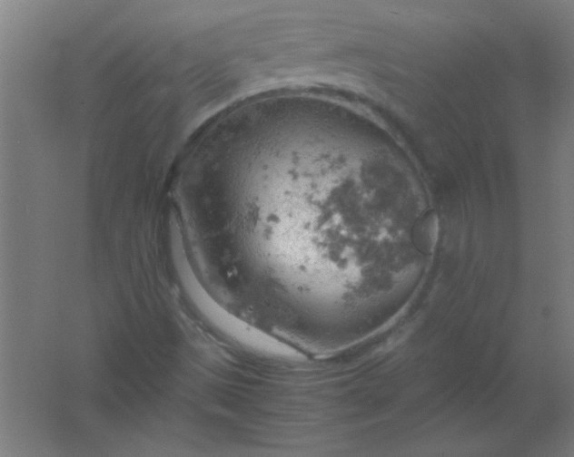 X0000061741497200512161635