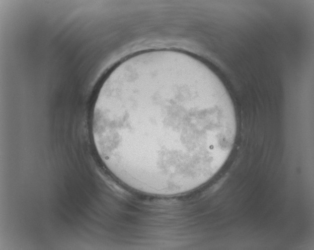 X0000061741498200512161635