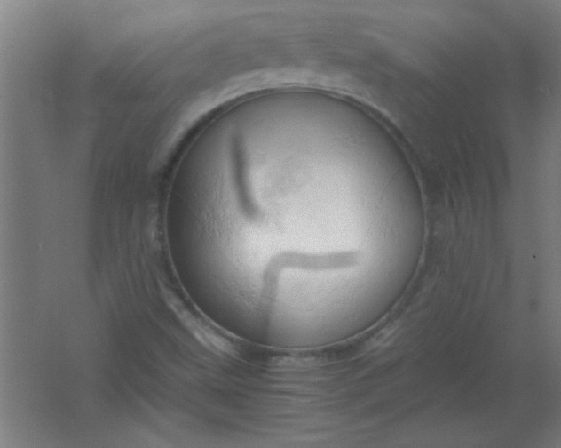 X0000061741499200512161635