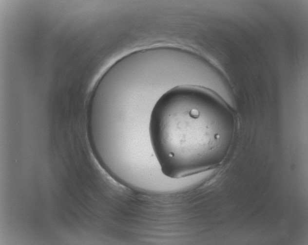 X0000061741500200512161635