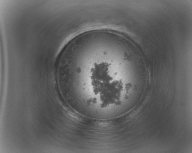 X0000061741501200512161636