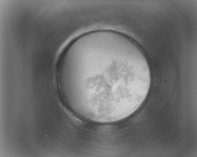 X0000061741502200512161636