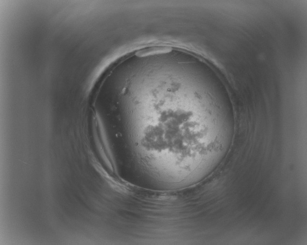 X0000061741503200512161636