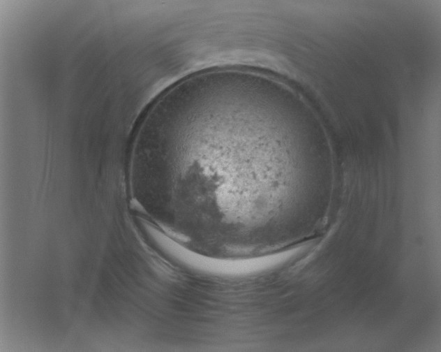 X0000061741505200512161636