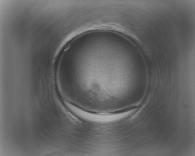 X0000061741506200512161636