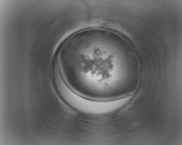 X0000061741509200512161636