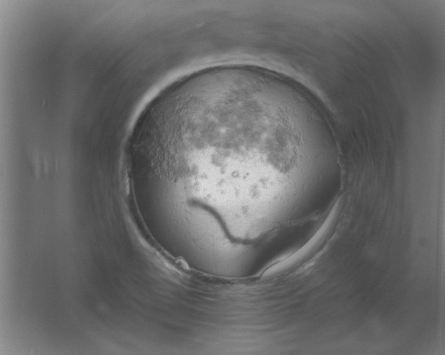 X0000061741510200512161636