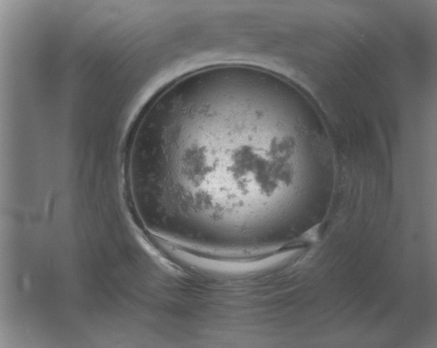 X0000061741511200512161636