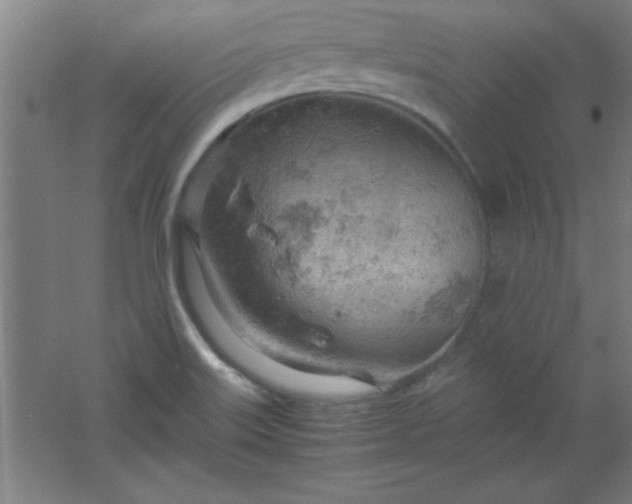 X0000061741515200512161636