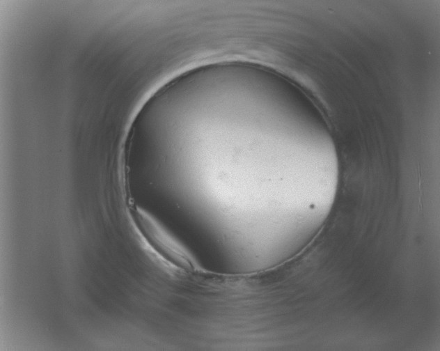 X0000061741516200512161636