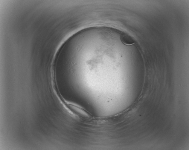 X0000061741517200512161636