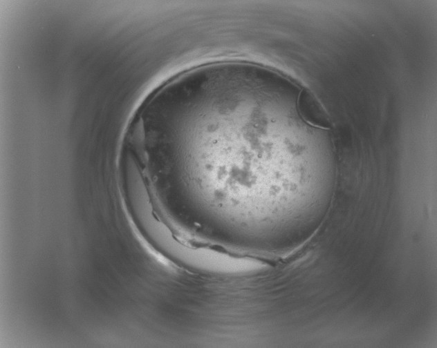 X0000061741519200512161636