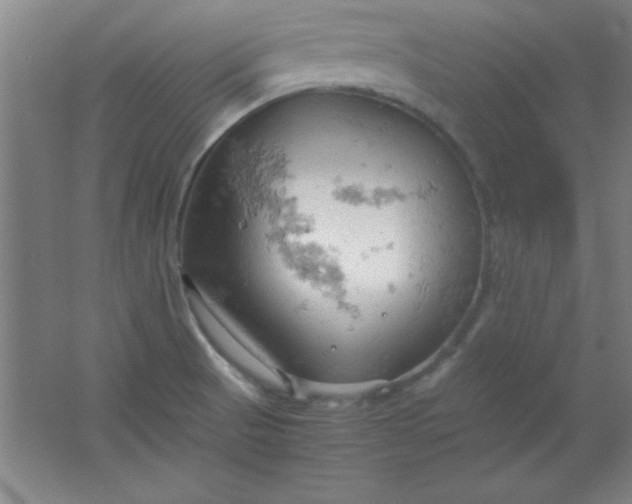 X0000061741521200512161636