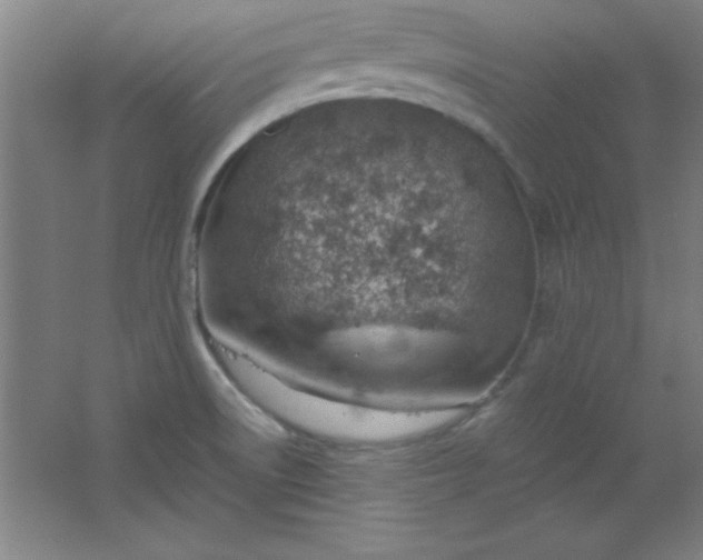 X0000061741522200512161636