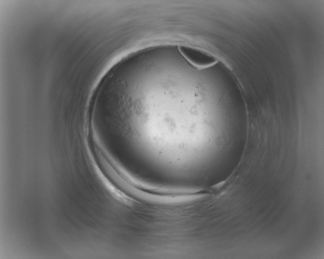 X0000061741523200512161636