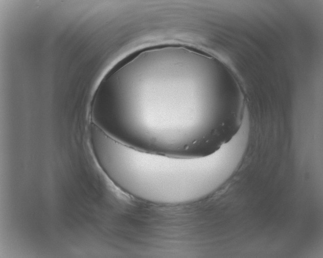 X0000061741524200512161636