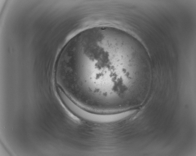 X0000061741525200512161636