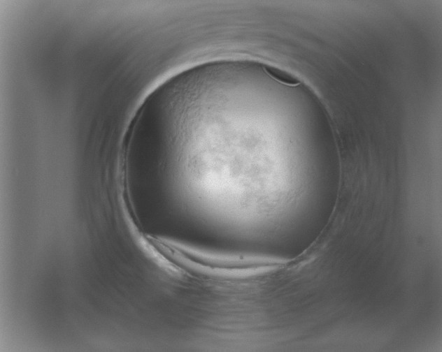 X0000061741526200512161636