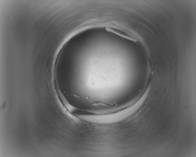 X0000061741528200512161636