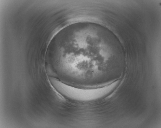 X0000061741529200512161636