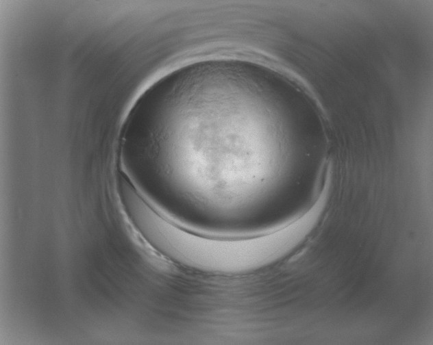 X0000061741530200512161636