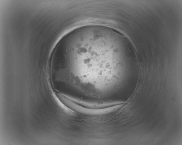 X0000061741531200512161636