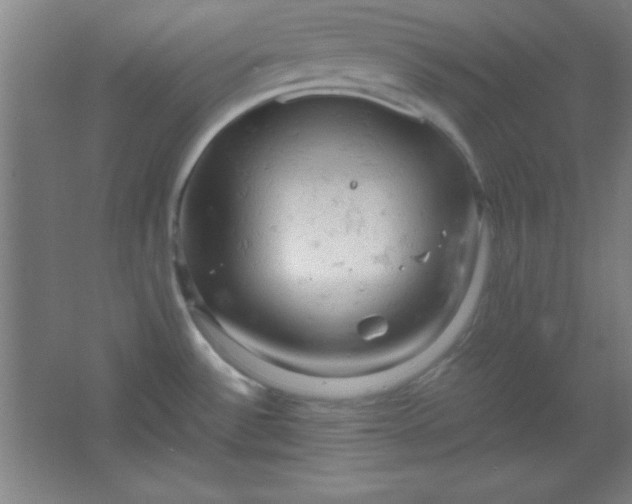 X0000061741532200512161636