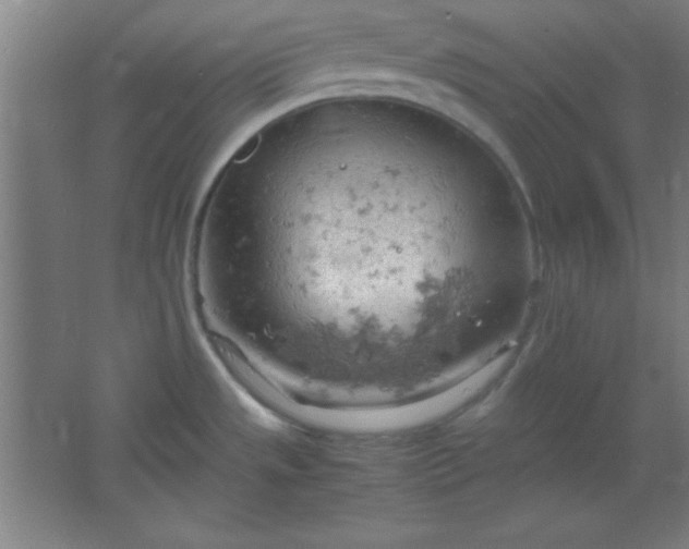 X0000061741533200512161636