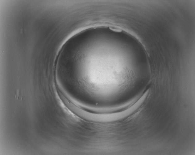 X0000061741534200512161636