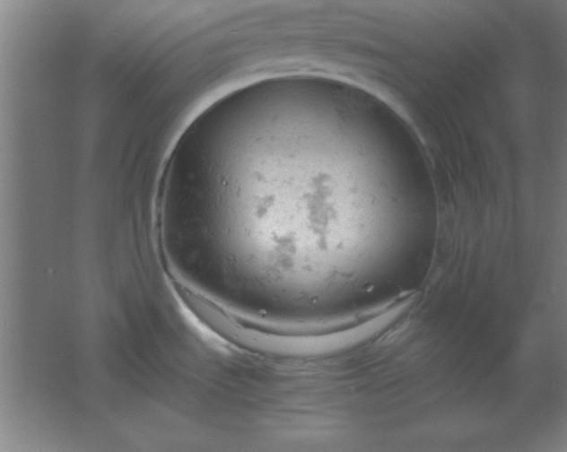 X0000061741535200512161636