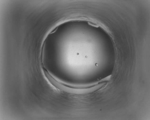 X0000061741536200512161636