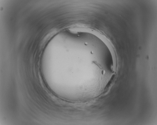 X0000061740001200512231512